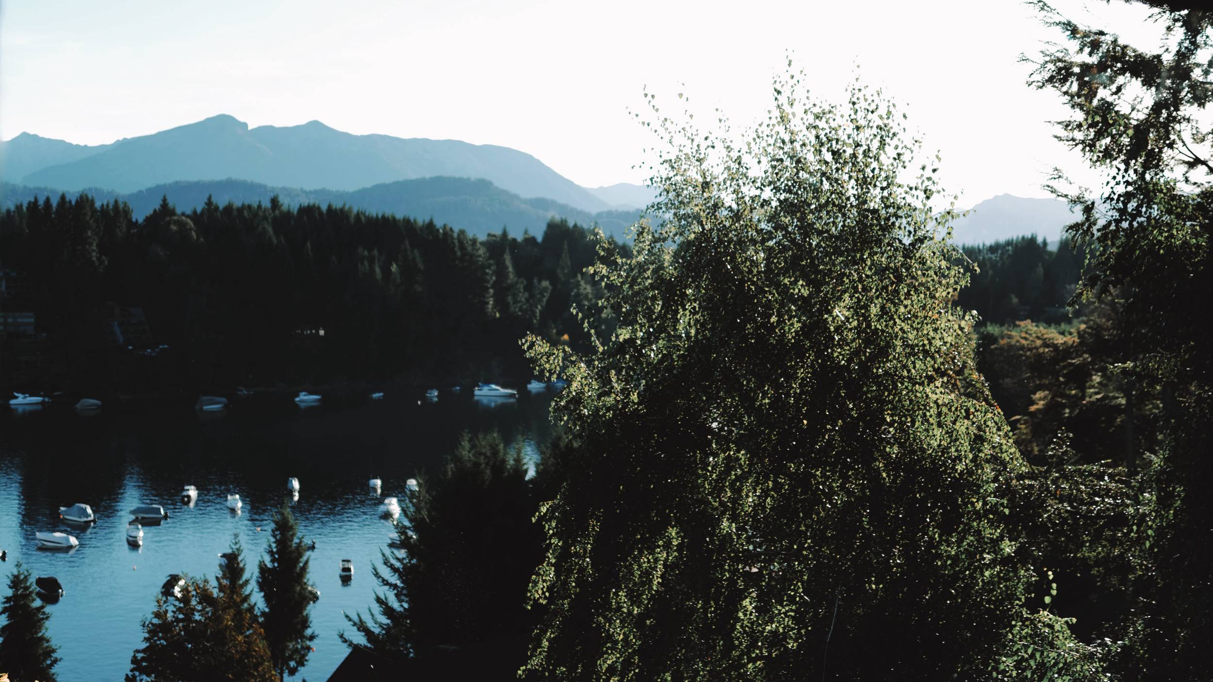 Marinas Alto Manzano